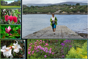 Italian garden on Garinish island
