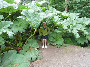 Muckross House and Gardens