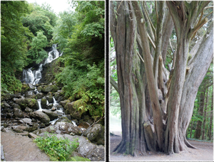 Torc Waterfall -  Nationaal Park Muckross