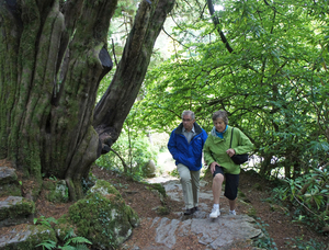 Muckross House and Gardens