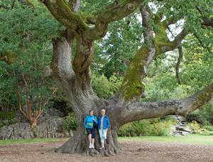 Muckross House and Gardens