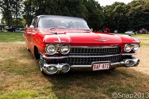 Rockabilly Day  2013-7698