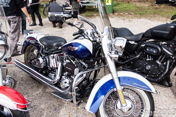 Rockabilly Day  2013-7750