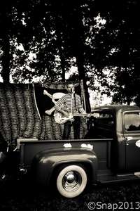 Rockabilly Day  2013-7909