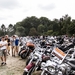 Rockabilly Day  2013-8089