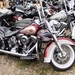 Rockabilly Day  2013-8091