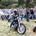 Rockabilly Day  2013-8093
