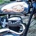 Rockabilly Day  2013-8494