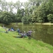 Merelbeke September 2013 018