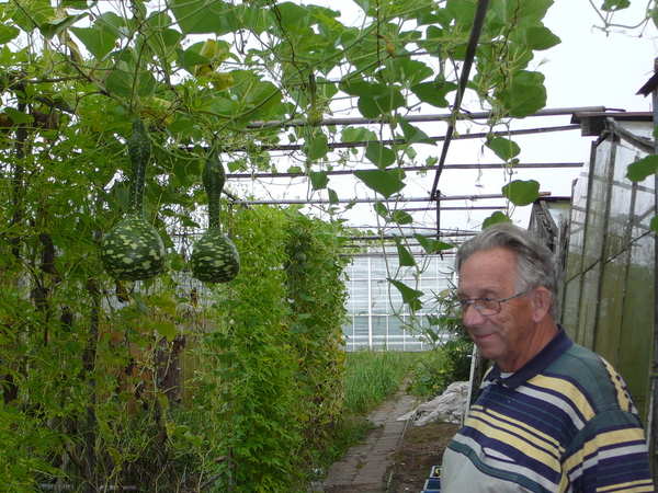 Bij de fleskalebassen