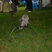 048  Country en linedance festival - Chateau La Motte