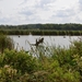 105  Zoutleeuw Het Vinne Provinciaal domein