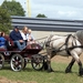 Trekpaarden-1 september-Roeselare-2013