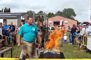 Trekpaarden-1 september-Roeselare-2013