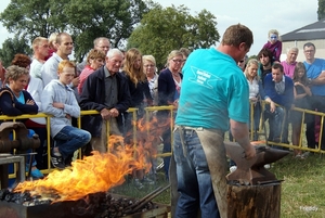 Trekpaarden-1 september-Roeselare-2013