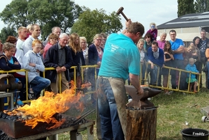 Trekpaarden-1 september-Roeselare-2013