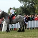 Trekpaarden-1 september-Roeselare-2013