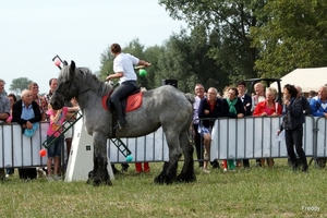 Trekpaarden-1 september-Roeselare-2013