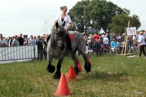 Trekpaarden-1 september-Roeselare-2013