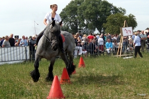 Trekpaarden-1 september-Roeselare-2013