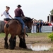 Trekpaarden-1 september-Roeselare-2013