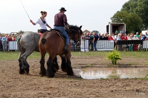 Trekpaarden-1 september-Roeselare-2013