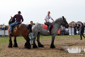 Trekpaarden-1 september-Roeselare-2013