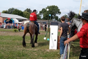 Trekpaarden-1 september-Roeselare-2013