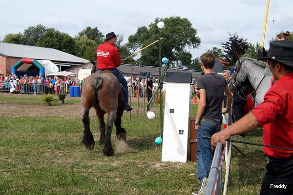 Trekpaarden-1 september-Roeselare-2013