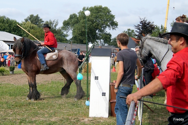 Trekpaarden-1 september-Roeselare-2013