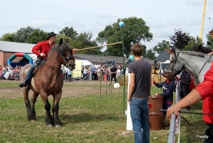 Trekpaarden-1 september-Roeselare-2013