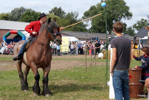 Trekpaarden-1 september-Roeselare-2013