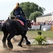 Trekpaarden-1 september-Roeselare-2013