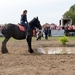 Trekpaarden-1 september-Roeselare-2013