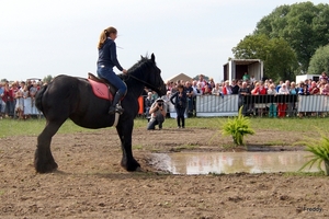 Trekpaarden-1 september-Roeselare-2013