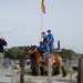 Trekpaarden-1 september-Roeselare-2013