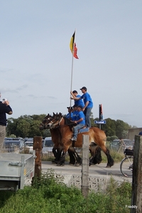 Trekpaarden-1 september-Roeselare-2013