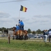 Trekpaarden-1 september-Roeselare-2013