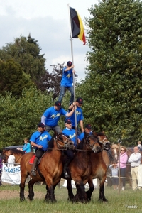 Trekpaarden-1 september-Roeselare-2013