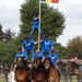 Trekpaarden-1 september-Roeselare-2013