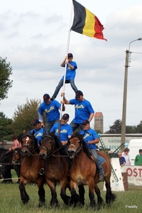 Trekpaarden-1 september-Roeselare-2013