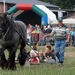 Trekpaarden-1 september-Roeselare-2013