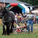 Trekpaarden-1 september-Roeselare-2013