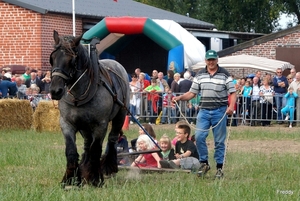 Trekpaarden-1 september-Roeselare-2013