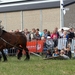 Trekpaarden-1 september-Roeselare-2013