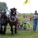 Trekpaarden-1 september-Roeselare-2013