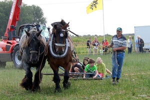 Trekpaarden-1 september-Roeselare-2013