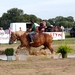 Trekpaarden-1 september-Roeselare-2013