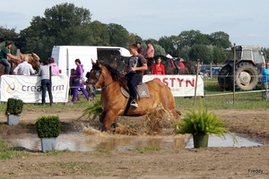 Trekpaarden-1 september-Roeselare-2013