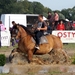 Trekpaarden-1 september-Roeselare-2013